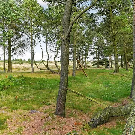 Bv345-blavand-gl-maelkevej-41 Blåvand