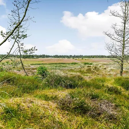 Bv345-blavand-gl-maelkevej-41 Blåvand