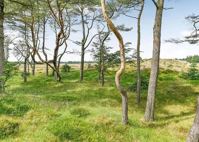 Bv345-blavand-gl-maelkevej-41 بيت للعطل Blåvand