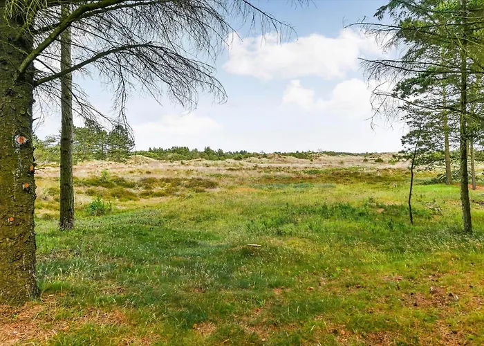 Bv345-blavand-gl-maelkevej-41 بيت للعطل *